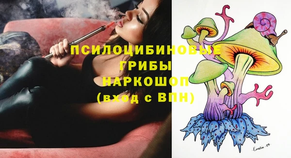 гашик Баксан