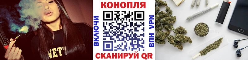 закладка  Петушки  Бошки марихуана марихуана 